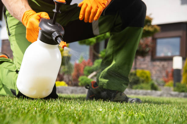 Best Pest Inspection Near Me  in Redland, AL