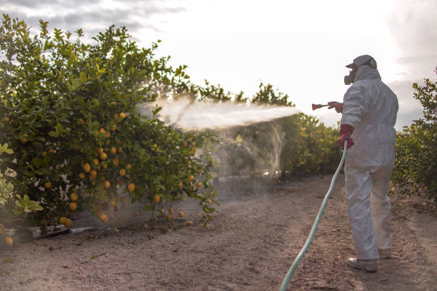 Best Exterminator Services  in Redland, AL