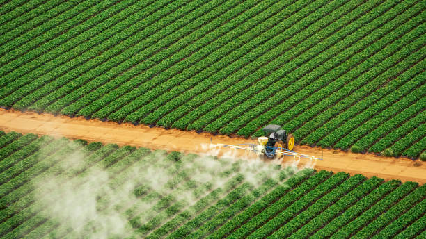 Best Pest Control Near Me  in Redland, AL