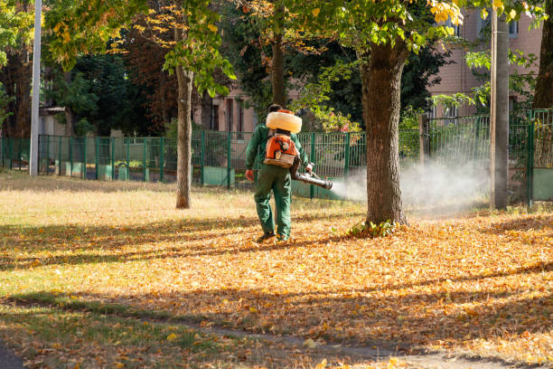 Best Pest Removal Services  in Redland, AL