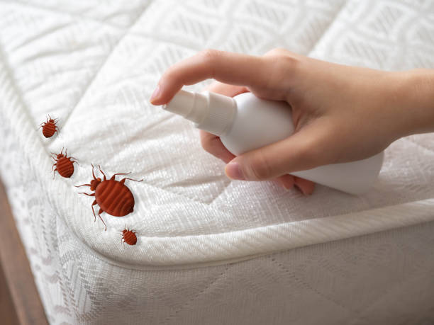Best Wasp Removal Services  in Redland, AL